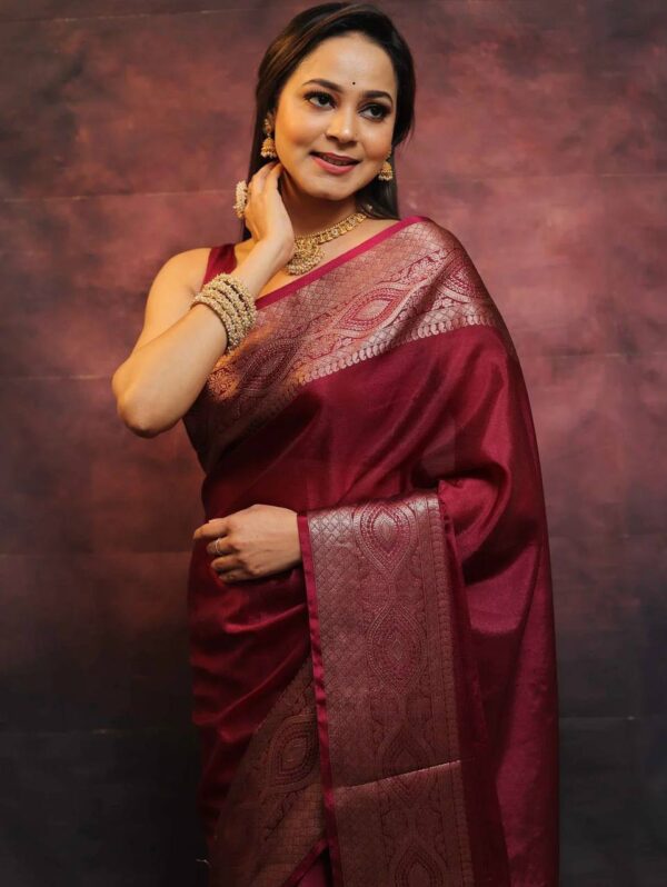 Banarasi Sarees 10