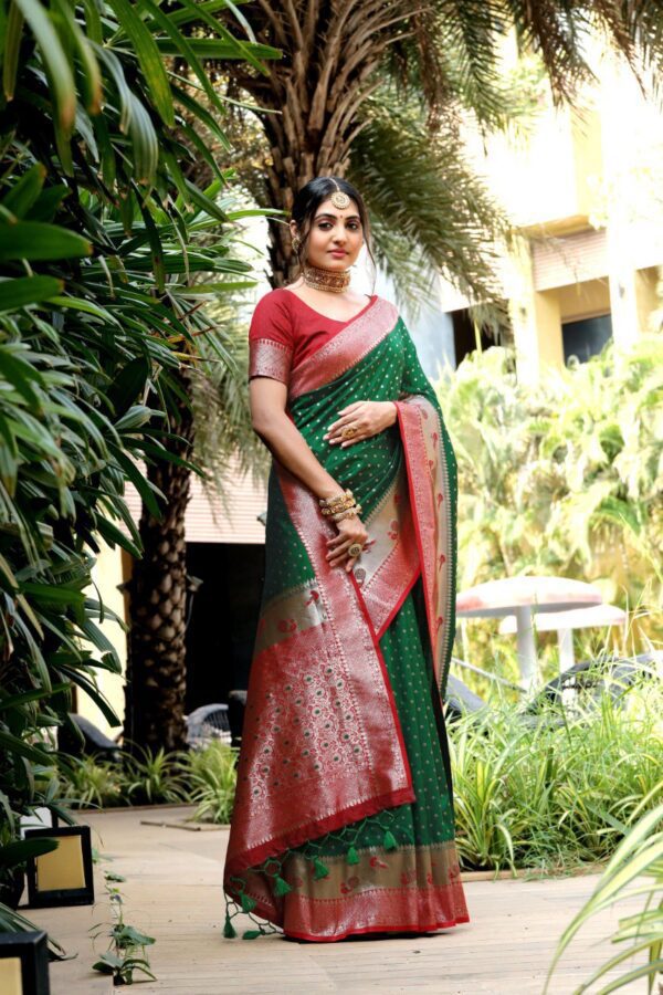 Banarasi soft silk paithani saree 1