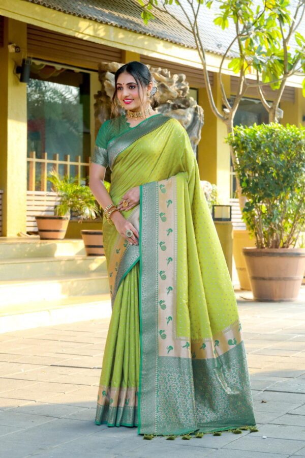 Banarasi soft silk paithani saree 2