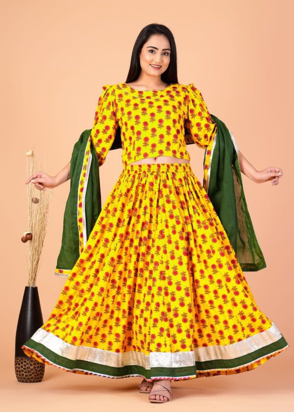 Lehenga CholiChania Choli 19