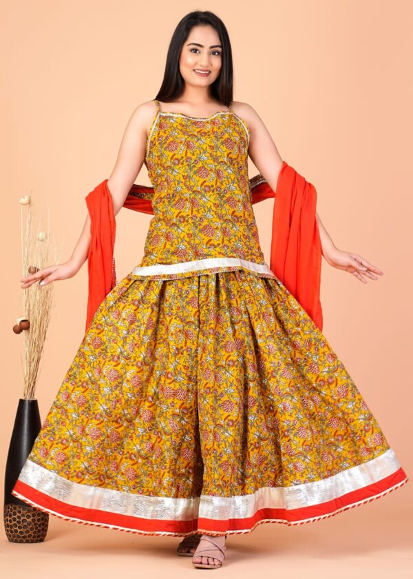 Lehenga CholiChania Choli 24