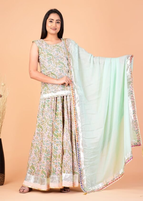 Designer Handblock Bagru Printed Lehenga Choli/Chania Choli - Image 7