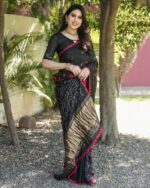 Bandhej / Badhni Print Silk Sarees