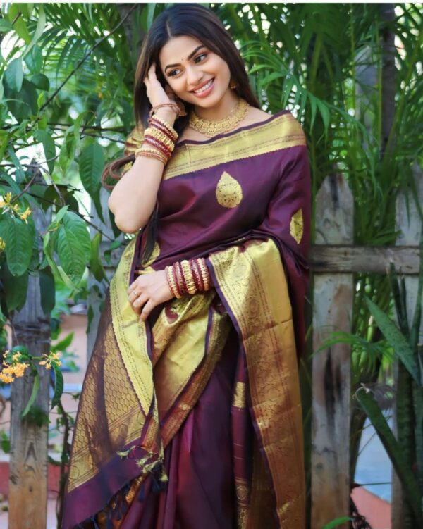 banarasi sarees 11