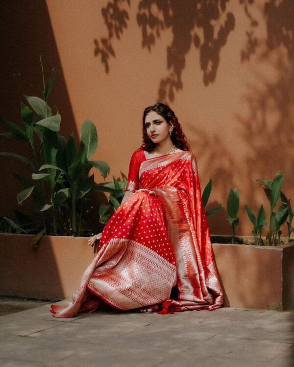 banarasi sarees 173