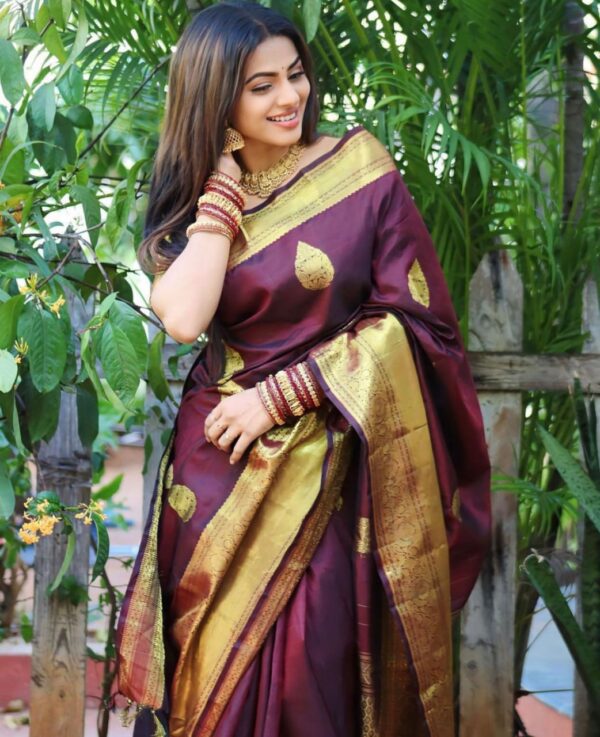 banarasi sarees 7