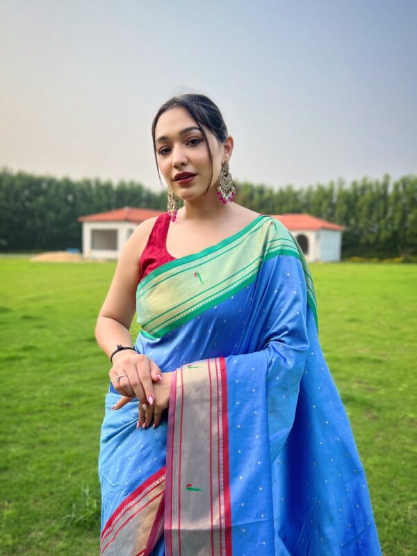 pithani saree 27