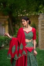 Navratri Chaniya Choli