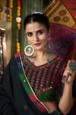 Multi Color  Chaniya Choli